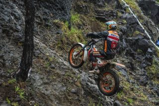 TrialGP25_r5_Marcelli_PS101472A_ps